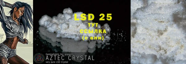 гашик Вязьма