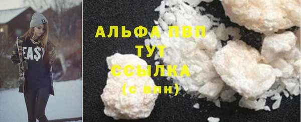 гашик Вязьма