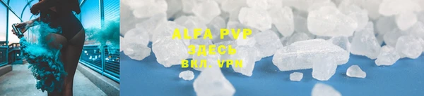 гашик Вязьма