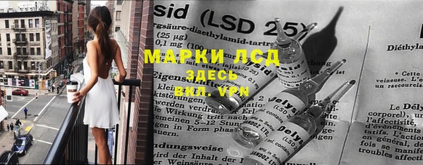 гашик Вязьма