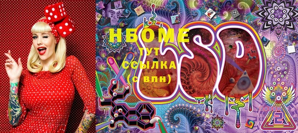 гашик Вязьма