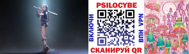 Галлюциногенные грибы Psilocybe  Новый Уренгой 